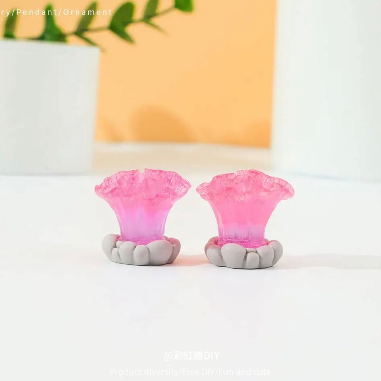 夜光海洋植物造景盆栽