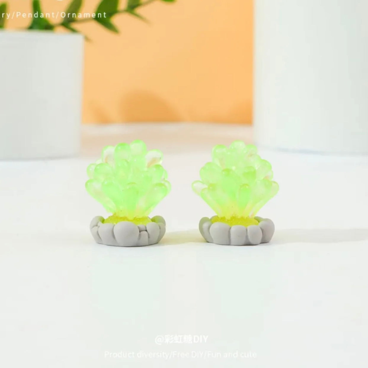 夜光海洋植物造景盆栽